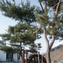 문경 카페 인더숲 ⎮ 넓은 정원과 도자기 공방이 있는 카페 솔직후기