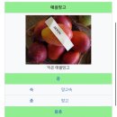 브리지팜 이미지