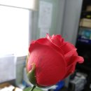 월암1급검사정비소 이미지
