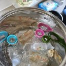 수출대로29길-1 | 구미 칠곡점 조은맘 산후도우미 후기