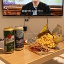 백패커스빌라제주 | 제주 서쪽 숙소_ 백패커스빌라 '나무전망 더블룸' 솔직후기