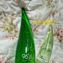홀리카홀리카서면