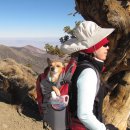 Death Valley Telescope Peak 11,049 ft. 다녀왔습니다. 이미지