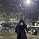 뽀글뽀글 반려견 유치원&호텔 이미지