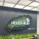 제주영재숯불 | [국내/제주]제주패키지여행 3박4일 1일차 내돈내산 솔직후기