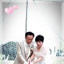 레스토랑안단테 Daum카페