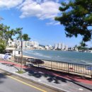 부산상가나라부동산중개 이미지