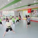 용인대 꿈나무 태권도장 이미지