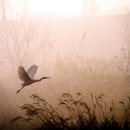 성서주공7단지아파트 이미지