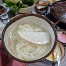 오리떼닭한마리