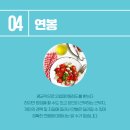 강상건강원