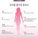 콜라겐이 부족하면 질병이 시작된다 이미지