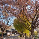 밀양고등학교 | 밀양 숨은 고택 여행 혜산서원 반계정 탐방 가을산책로