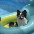 롯데프리미엄아울렛 부여점 이미지