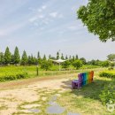 충청북도 청주시 이미지