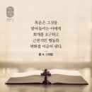 요한복음 2:13 – 2:25 세속화된 성전을 향한 거룩한 분노 이미지