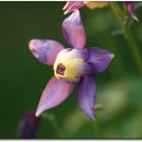 광주도자기엑스포장 이미지