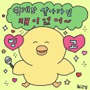 그럭저럭 괜찮은 11월