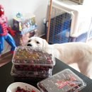 두이농장 이미지