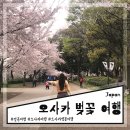 2017-03-0005 | 벚꽃의 나라 일본 벚꽃 개화시기 및 오사카 벚꽃 여행 명소 추천