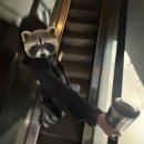 시월식당 | 어영부영 또 시월