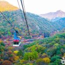 하늘카서비스 이미지