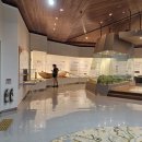 국립수목원 산림박물관 이미지