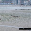 망산도 유주암 이미지