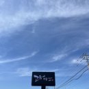 고등어명품이되다 이미지