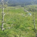 시목농장 이미지