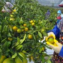 중동 1261 이미지