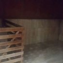 안전지대 휘트니스 이미지