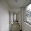 중왕뻘낙지 이미지