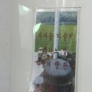 [순천 고향가든] 구례 순천 섬진강 다슬기 맛집 내돈내산 후기