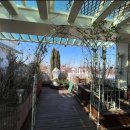 정원출장 이미지