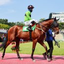 라온목장 이미지