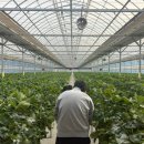 두두농장 이미지