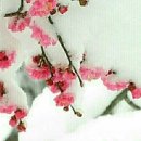 설매농장 이미지