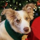 원반농장 이미지