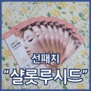 더이앤 샬롯루시드 선패치 자외선 UV차단 숨쉬는 투명선패치 후기