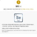 애터미(보은강뉴한마음센터)