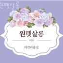 원펫살롱 이미지