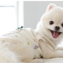 오가닉맘마