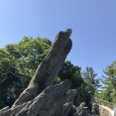 블루릿지 이미지