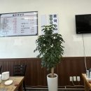 [화성/양감] 순대국, 해장국, 돼지찌개 등 한식맛집 풍미해장국 후기