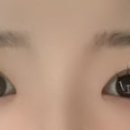 래쉬림