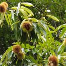 헤이리농장 이미지