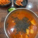 맹그로브 짐 | 강원도 고성 여행기 1(+맹그로브 고성)