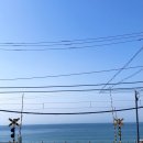 윤건우 | ☀️날씨가 나를 사랑한다는게 이런걸까? 도쿄 2일차