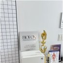 에스테틱 파라곤